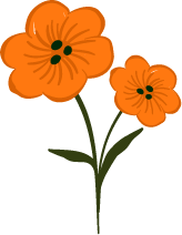 Orange Flowers