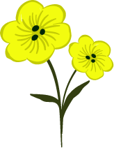 Yellow Flowers