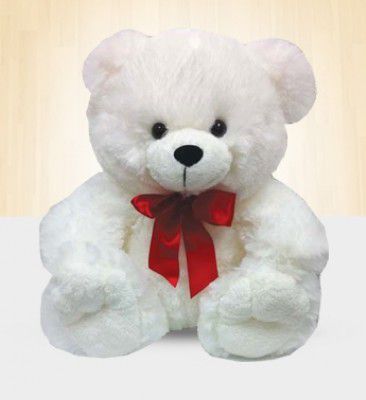 Small Teddy 8-12 Inche