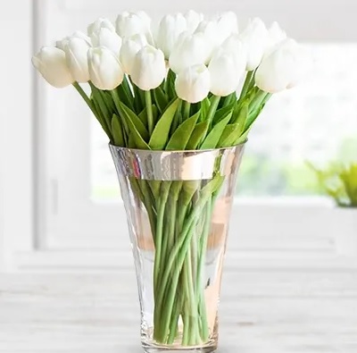 Tulips Purity