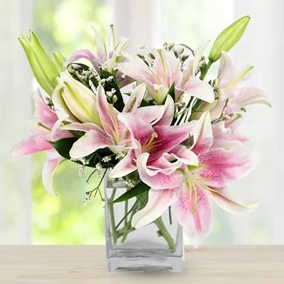 Fragrant Pink Lilies