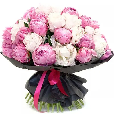 Luxurious Peonies