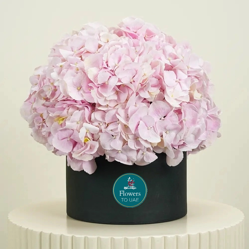 Pink Hydrangeas Box