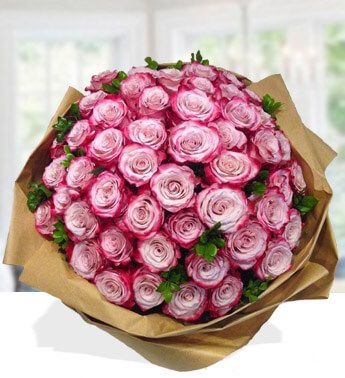 Lovely Roses