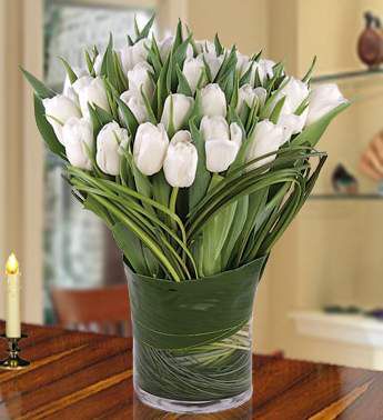 White Tulips